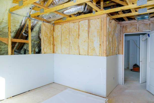 Best Insulation Installation Services in Elkton, MD